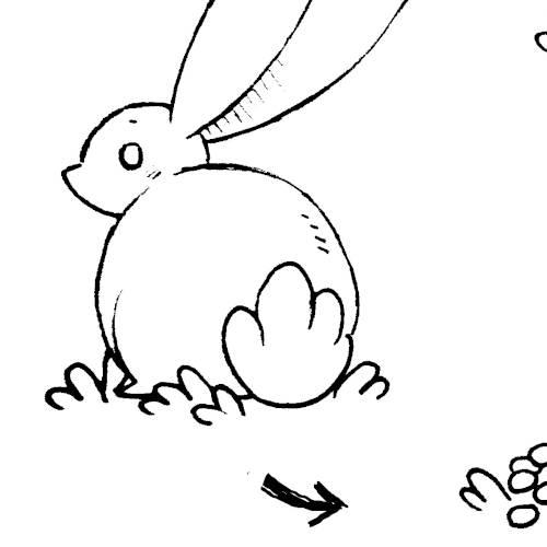 51.3kb, the lifecycle of rabbit poop
