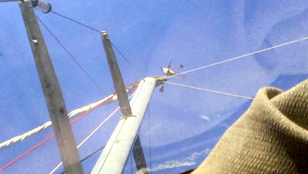 a belted kingfisher sitting on top of the mast, perched atop the wind arrow